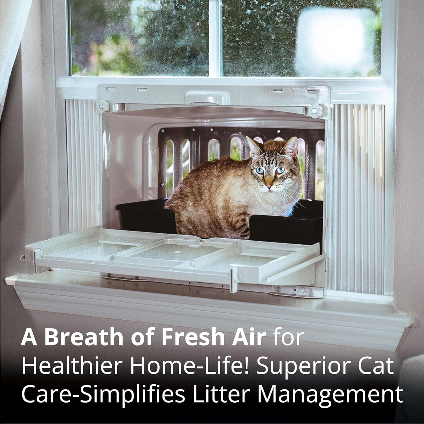 Window Mounted Cat Litter Box, Perch & Catio