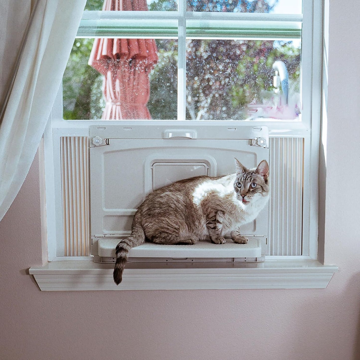 Window Mounted Cat Litter Box, Perch & Catio